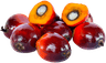 Fruits de palme batana