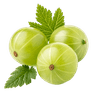 Amla, la groseille indienne