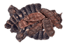 Shikakai, l'acacia concinna