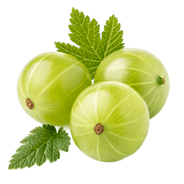 Amla, la groseille indienne