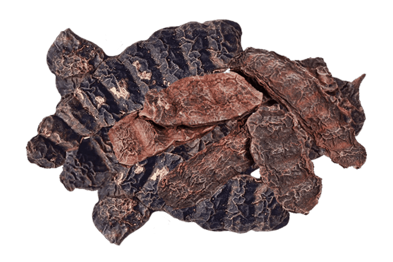 Shikakai, l'acacia concinna